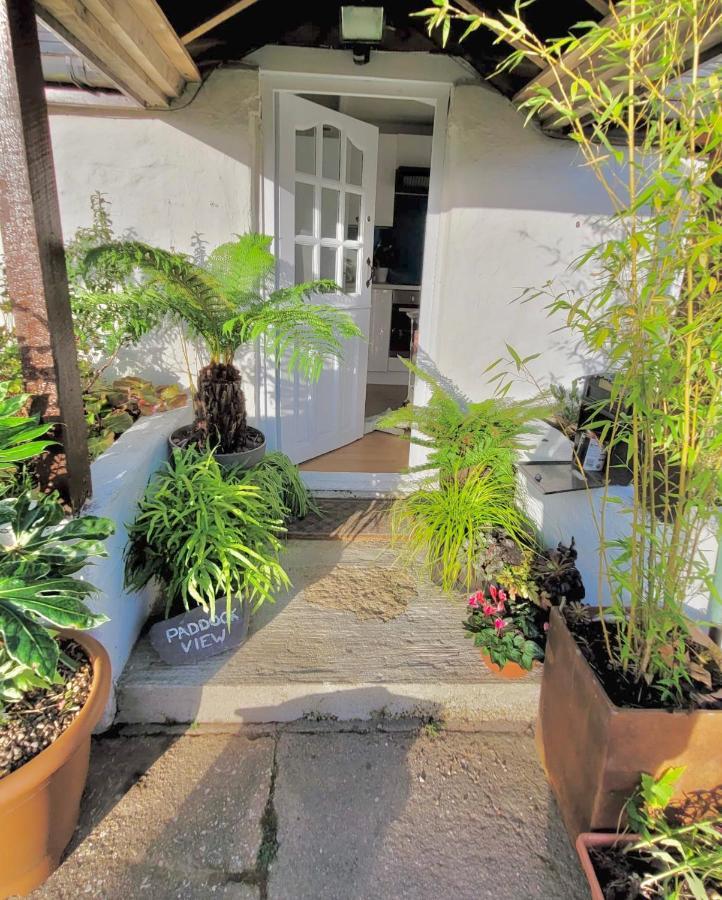 Idyllic Cornish Cottage, Superking Bed, Private Garden Dogs Welcome Труро Екстер'єр фото