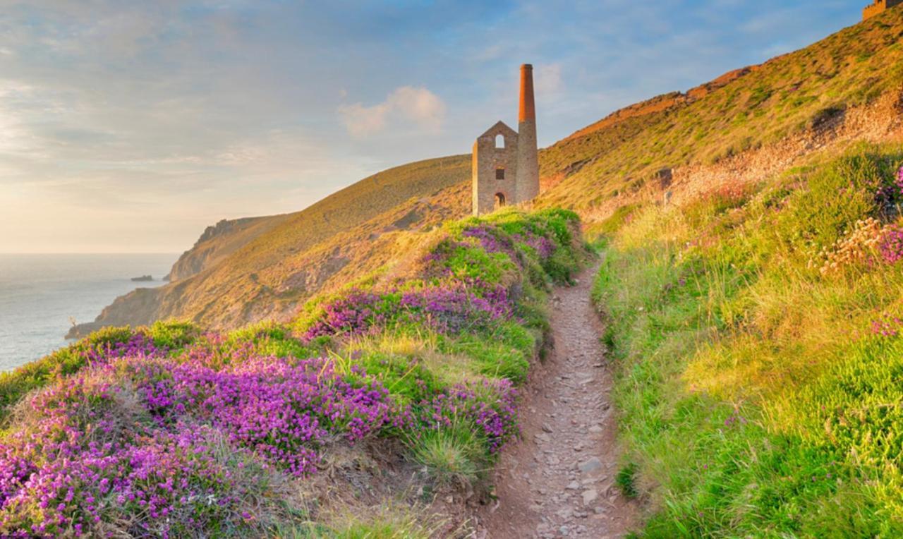 Idyllic Cornish Cottage, Superking Bed, Private Garden Dogs Welcome Труро Екстер'єр фото