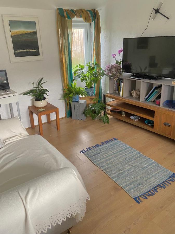 Idyllic Cornish Cottage, Superking Bed, Private Garden Dogs Welcome Труро Екстер'єр фото